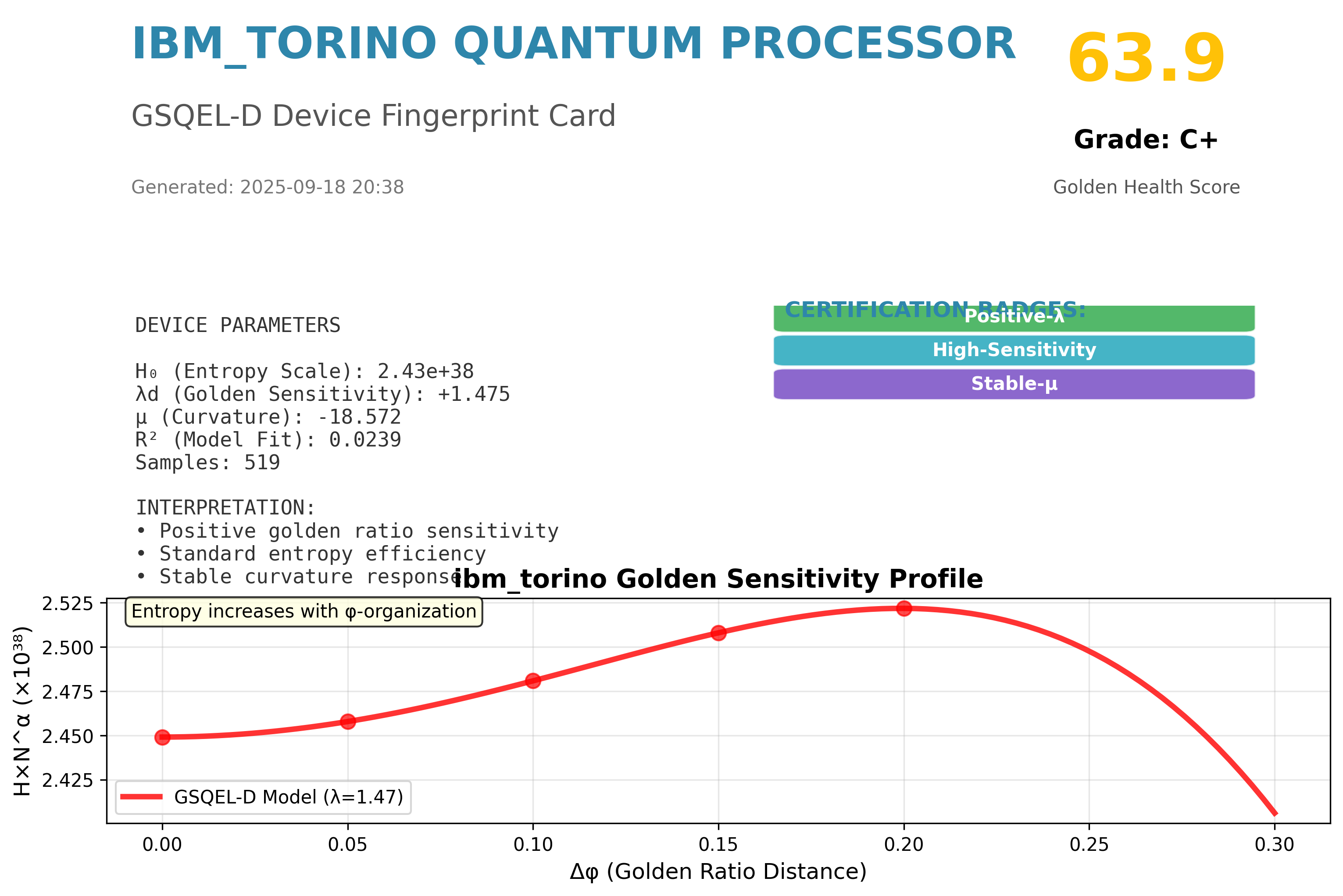 IBM Torino Professional Scorecard